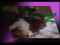 CBS Spirit Oh Yes 3 00 Promo 1987