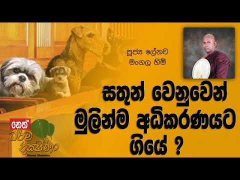 Darma Dakshina 2019.05.07 - Lenawa Mangala Himi