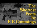 E E Cummings' Most Beautiful Poem - "Oneliness"