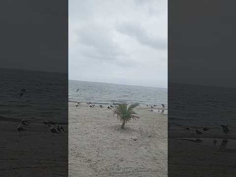 Iguaba Grande RJ ♥️ 18/12/2025  5^ Feira.🌧️🌧️🌧️🌧️