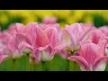 God Sees Beauty in You | Christian Guided Meditation Narrated by Roma Downey
