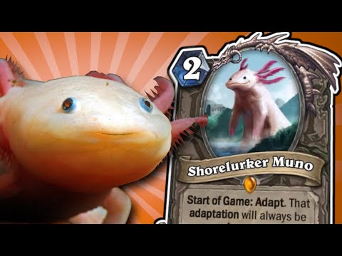 Axolotl 🐡 HYPE! - Top Custom Cards of the Week #75 | Hearthstone