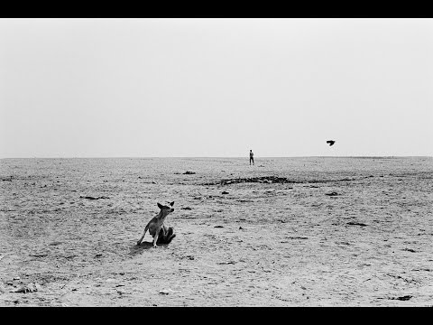 Tchaikovsky - June - Sahil Vasudeva - Sohrab Hura