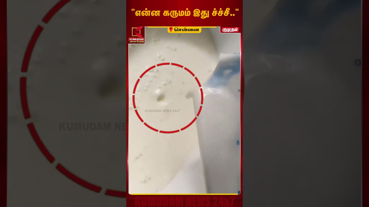 ஆன்லைனில் வாங்கிய ஆவின் பாலில் கரப்பான் பூச்சி? வாடிக்கையாளர் அதிர்ச்சி குற்றச்சாட்டு | Aavin Milk ஆன்லைனில் வாங்கிய ஆவின் பாலில் கரப்பான் பூச்சி? வாடிக்கையாளர் அதிர்ச்சி குற்றச்சாட்டு | Aavin Milk