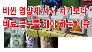 비싼 영양제 사서 치기보다 비료 공부를 해야 하는 이유 (영양제. 비료, 거름, 비료 공부, 식물영양제, 식…