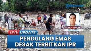 Minta Perlindungan Hukum, Warga Desa Noenasi Desak Penerbitan IPR bagi Pendulang Emas Tradisional