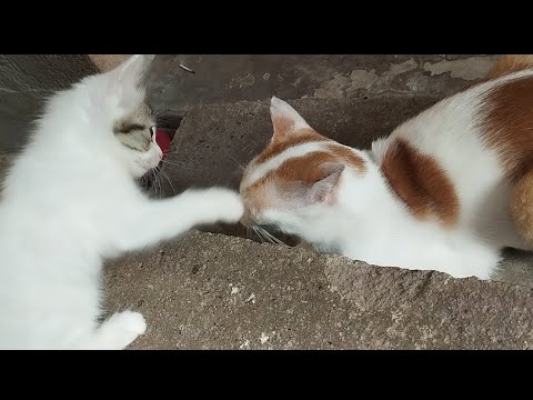 @ Ayushman Bhava 😇😇🤣🤣🤣