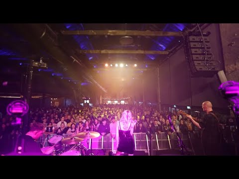 Video thumbnail for Jellyfish