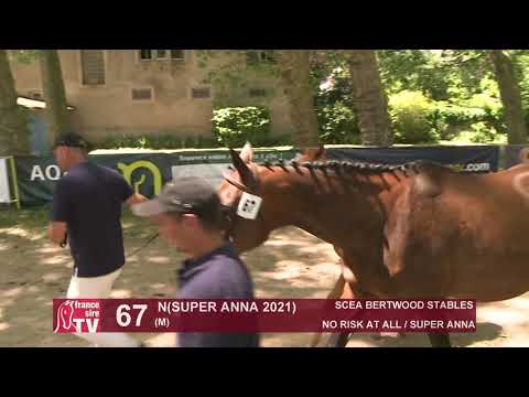 Sprinter Sacré Show 2021 : Lot 67 - N.21 Super Anna