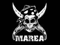 marea perro verde 