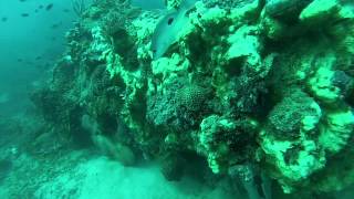 preview picture of video 'Scuba Diving at Modessa Island resort'