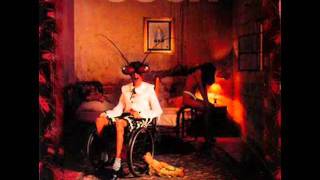 Mundo Animal Music Video