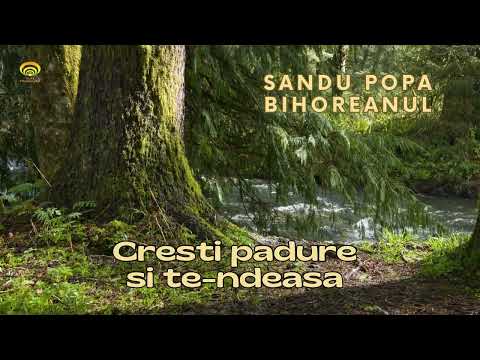 Sandu Popa Bihoreanul - Crești pădure si te-ndeasa