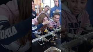 organico o inorganico