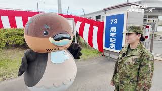 2025/11/24放送・知ったかぶりカイツブリにゅーす