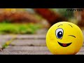 Har Dil Mein Hai Rab Basta WhatsApp Lyrics Status Status