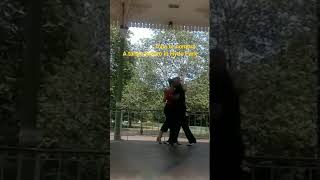 Tango Furtivo 109a at Hyde Park Bandstand, London