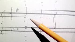 Common Tones in Music Harmony