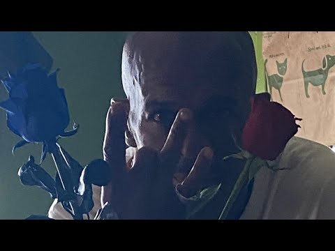 SHA120 - HYBRID(OFFICIAL AUDIO)