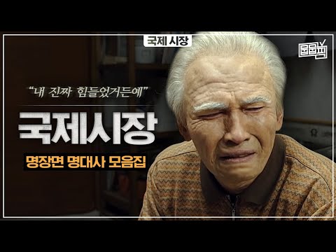 하이라이트