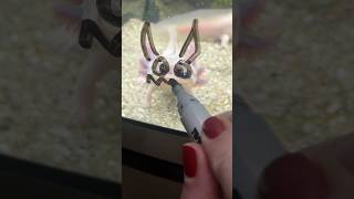 Miniature vidéo