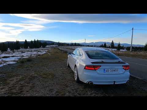 #TransUrsoaia #apuseni  2023