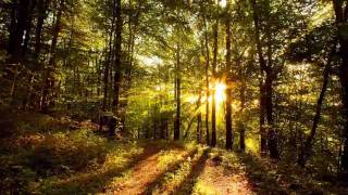 I'm looking for a soft place to fall...