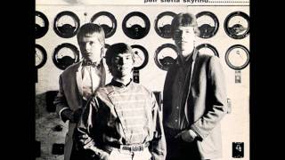 Sonus Futurae - Skyr með rjóma