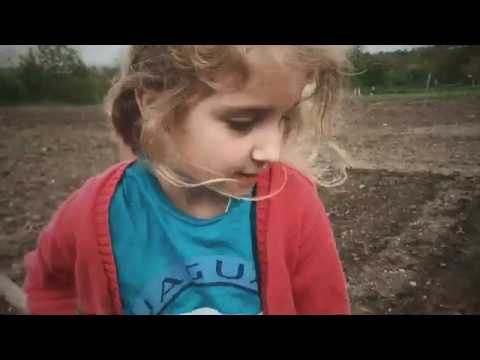 Viata la sat Noslac | Judetul Alba