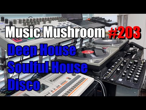 2023 Deep House Mix "Without Reasons" - BOZAK TR707 RD9 Vinyls MusicMushroom #203 New York Style