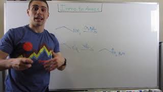 Intro to Amines--Physical Properties and Stereochemical Considerations