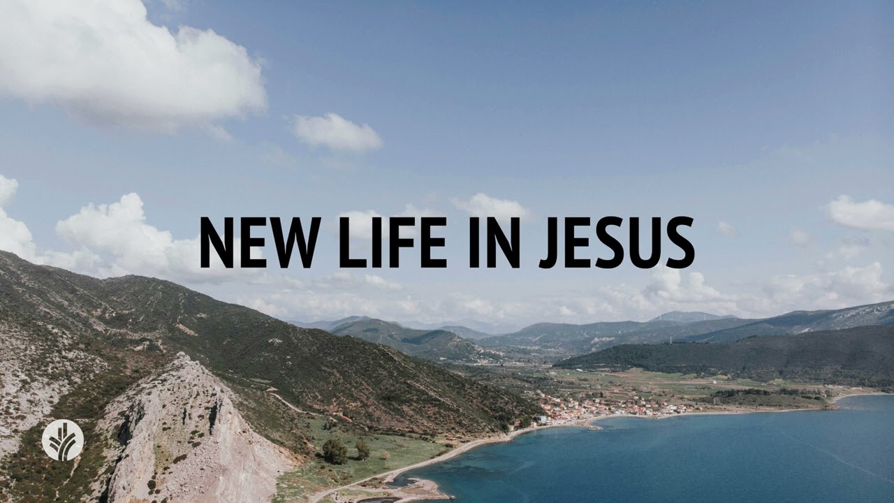 New Life in Jesus | Audio Reading | Our Daily Bread Devotional | December 8, 2024