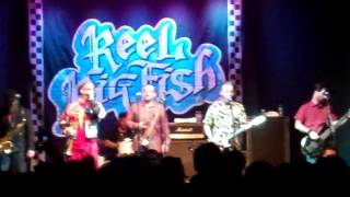 Reel Big Fish &quot;Dare you to break my heart&quot; at Tricky Falls Dec 2014