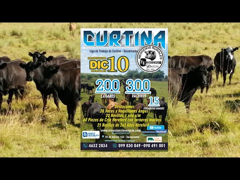 Remata Ernesto Esteves y Cia - Local Liga del Trabajo de Curtina Tacuarembó- 10 de Diciembre de 2025