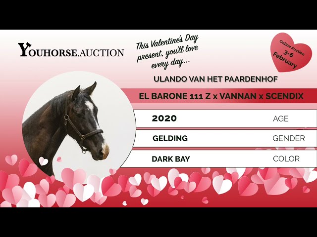 Ulando Van Het Paardenhof