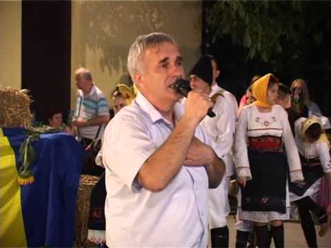 SAŠA DRAŽILOVIĆ - SENA - Maraćinje maraćinje  ; Vlaška pesma