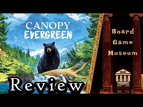 Canopy Evergreen Review
