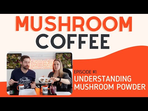 What You Should Know About Mushroom Extract Powder (Mushroom Coffee Episode #1)