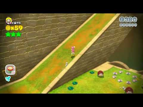 Super Mario 3D World 4-5 Speedrun - Time: 30 (TWR)