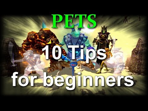Titan Quest in 2024 - 10 Tips for PETS for Beginners!