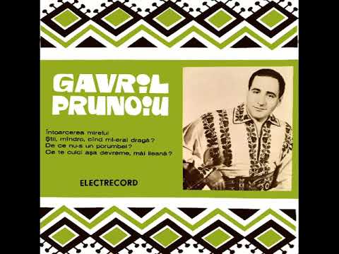 GAVRIL PRUNOIU