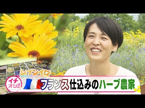 aménagement-jardin-spirale-aromatique-pierres