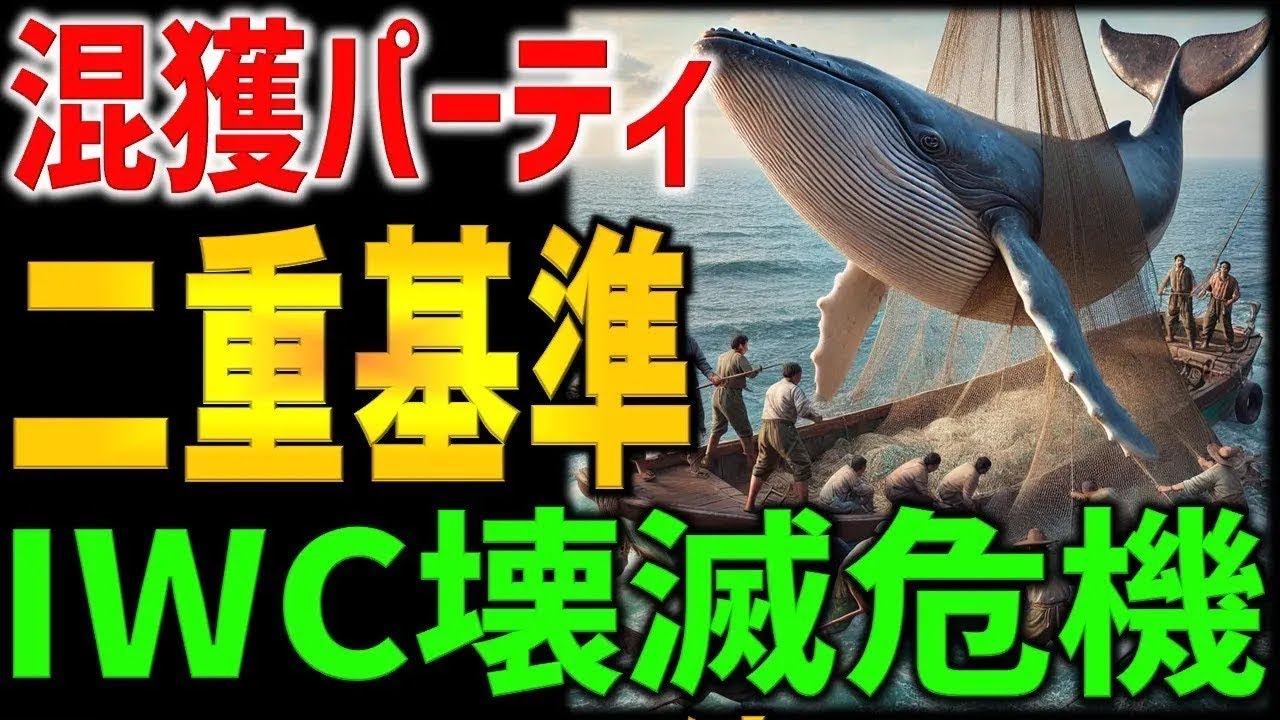 【海外の反応】韓国の 混獲 捕鯨の実態！日本のIWC脱退と商業捕鯨再開の真相に迫る！知られざる韓国の捕鯨大国ぶりと国際社会の二重基準を徹底解説！クジラVS人間の攻防戦