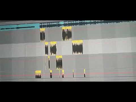 PRIMO595 - MEIN WEG 2