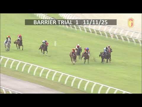 11 NOV 2025 BARRIER TRIAL 1