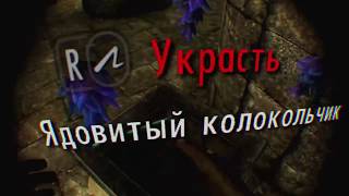 В погоне за жопой дракона - Skyrim