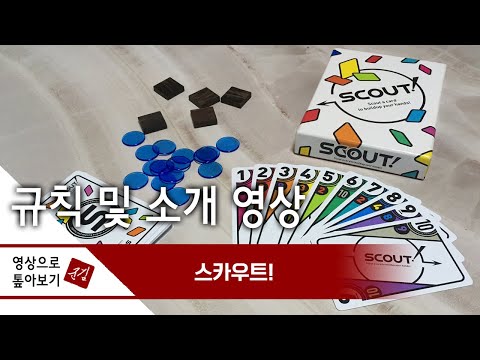 [영상으로 톺아보기] SCOUT!