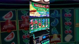 #viva casino #casino #egt #bell #link #jackpot