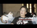 The Woman Who Lives With 1,000 Cats