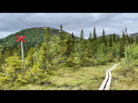 Sweden Hikes: walking Björnen to Fjällgården, Åre. Beautiful mountain, sounds of nature and boots